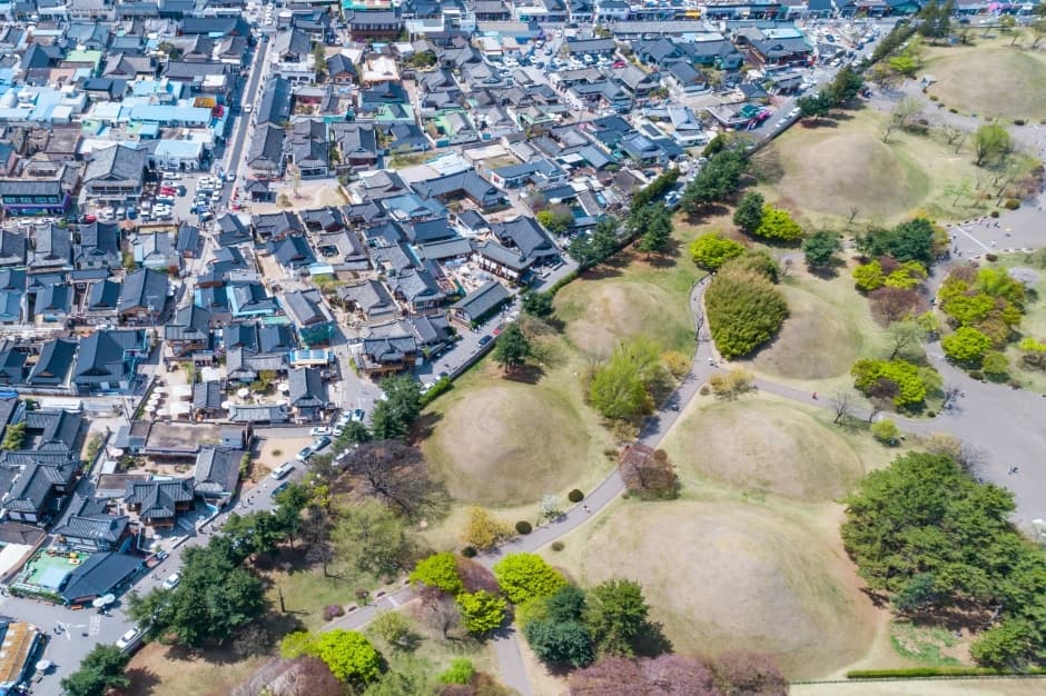 慶州大陵苑一帯(경주 대릉원 일원)