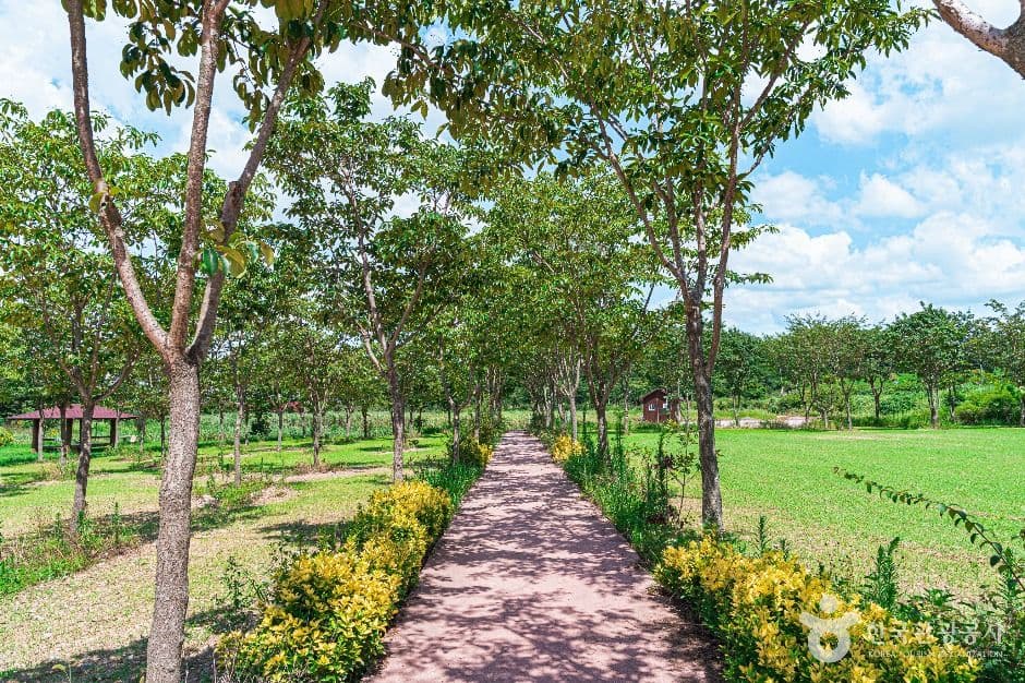 부안 줄포만 노을빛 정원