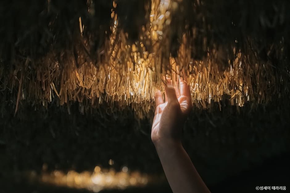 테라리움 2F_Heart of Wind