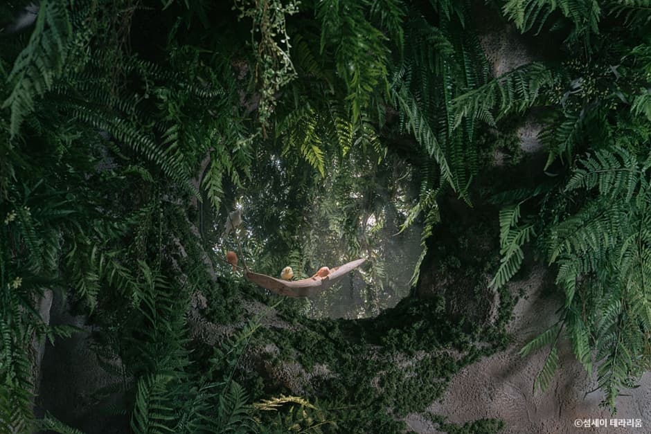 테라리움 3F_SUMSEI Forest 2