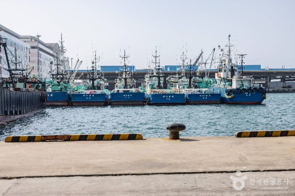 부산_부산 국제수산물도매시장 (5)