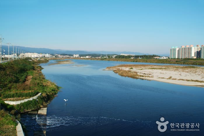 Arroyo Namdaecheon (Gangneung) (남대천(강릉))