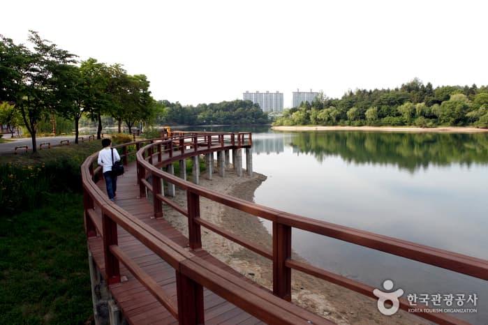 충북_충주_반려견과 함께 떠나는 충주 힐링 여행10