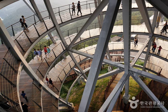 가을여행주간_단양, 제천 여행에서 남기는 ‘야경 인생샷!’_단양 만천하스카이워크05