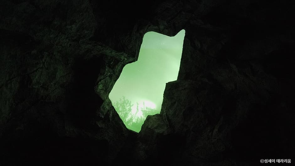 테라리움 B1_Black Out 2