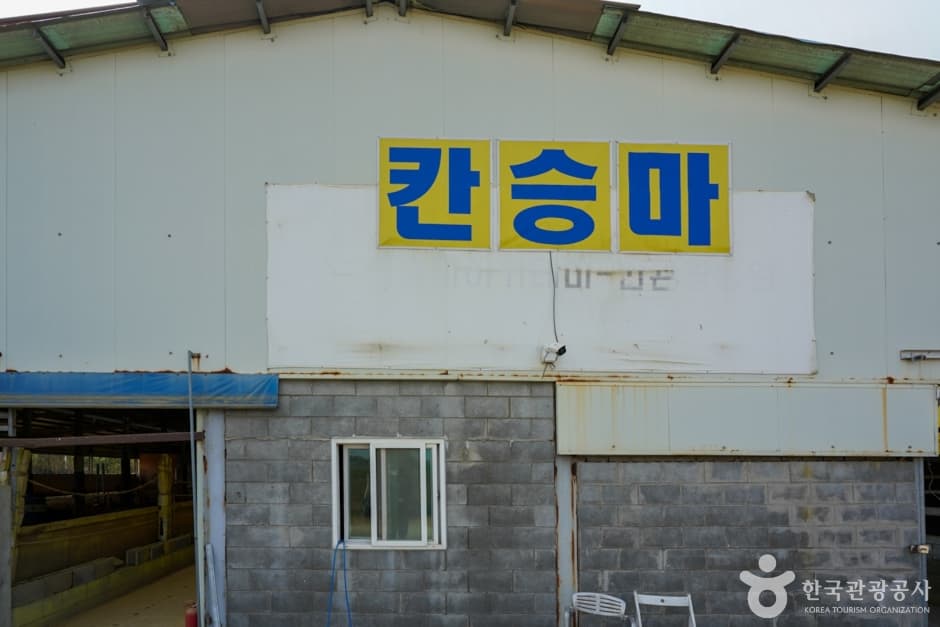 칸승마아카데미 (2)