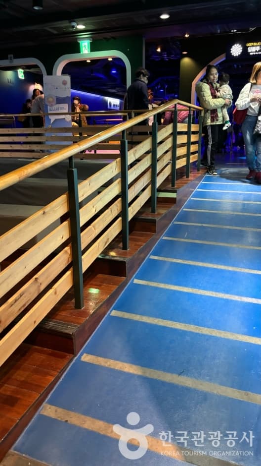 코엑스 아쿠아리움_5