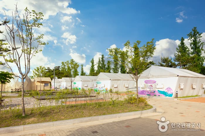 박사마을 어린이 글램핑장