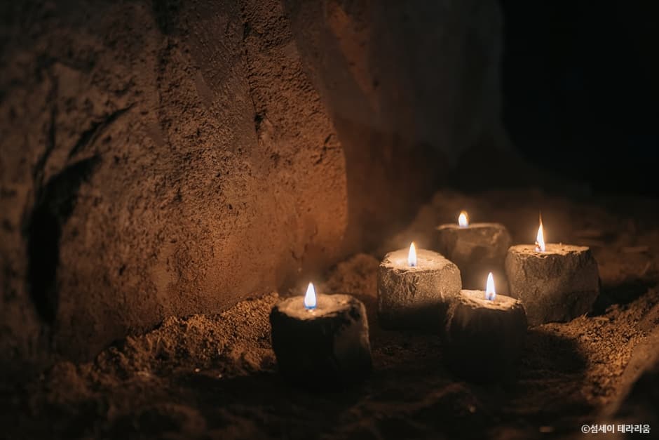 테라리움 B1_Black Out