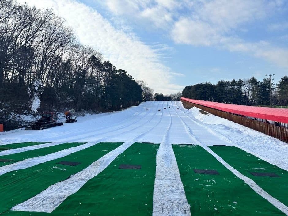 Pista para Trineos del Pueblo Folclórico Coreano (한국민속촌 눈썰매장)