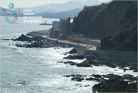 삼척항 - 새천년도로변