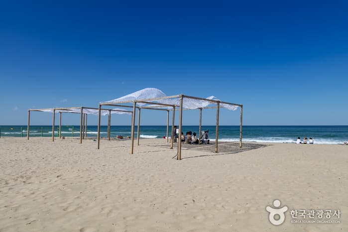 서피비치, 서핑(양양) 3