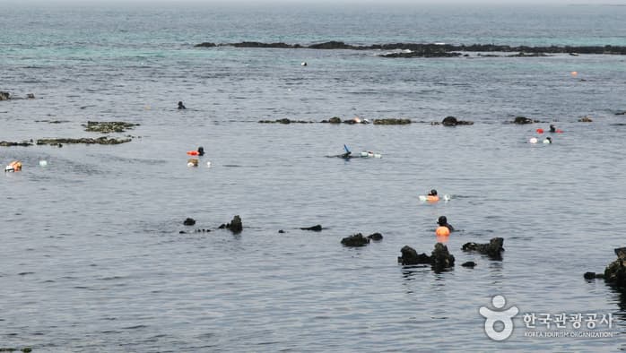 제주해녀물질체험1