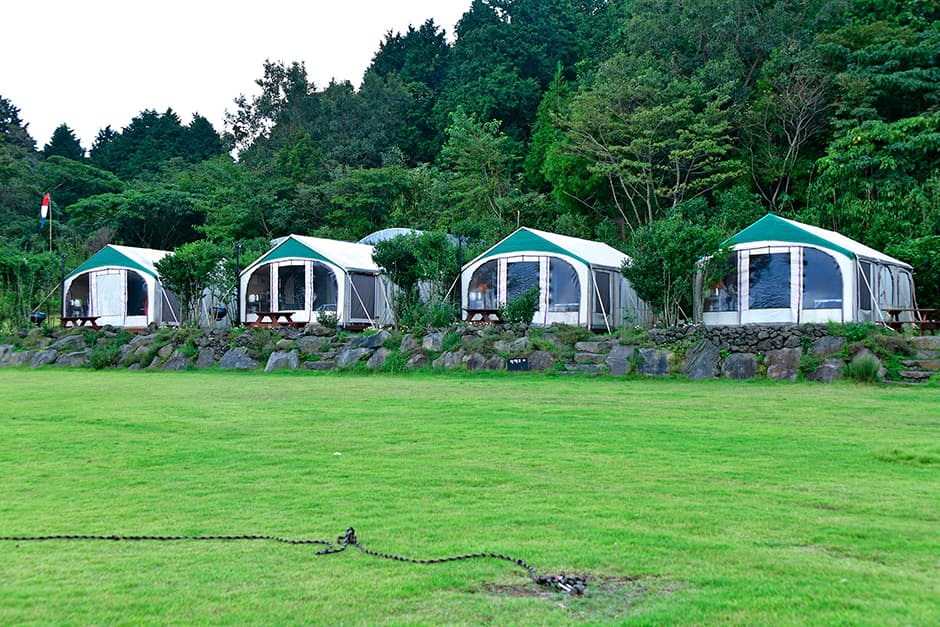 Jeju Best Hill (제주베스트힐)