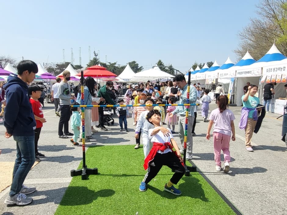 김제 꽃빛드리 축제