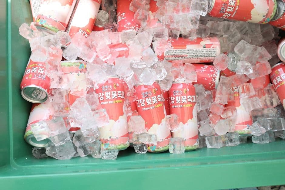 2025 고창 벚꽃축제 3