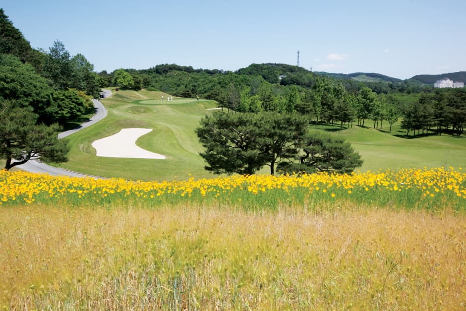 충남_천안_우정힐스CC_골프장2