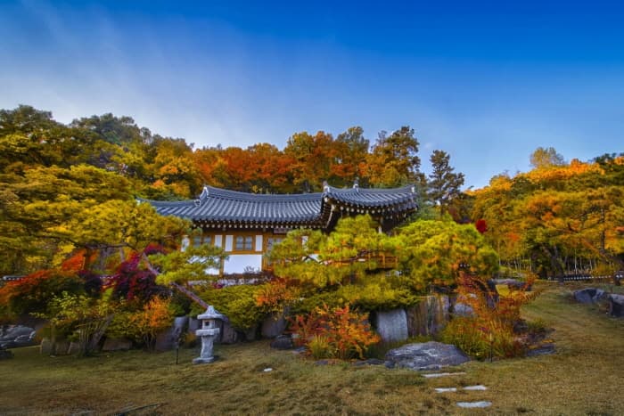 Joseon Wangga/ 조선왕가(농업회사법인 조선왕가 주식회사)