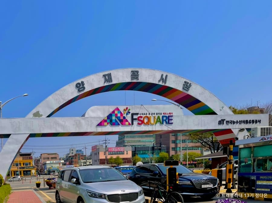 서울_양재꽃시장 (2)