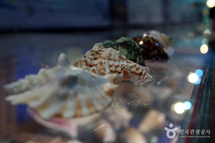 蔚山海洋博物館(울산해양박물관)