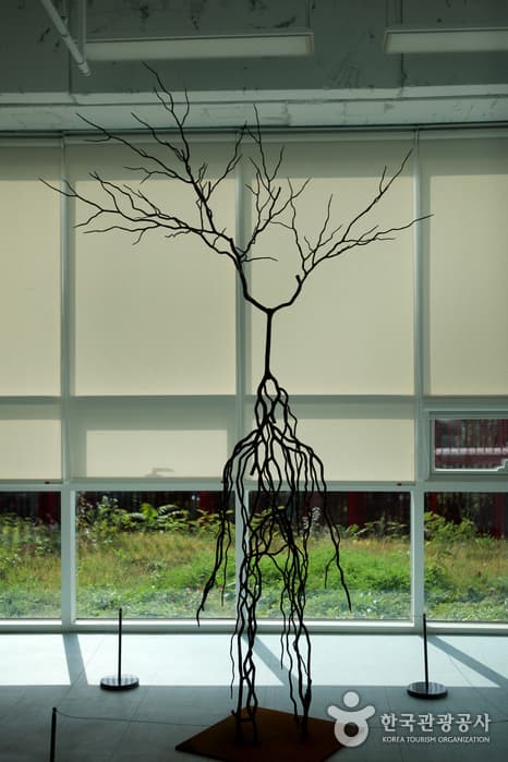 문화시설_강원_영월_젊은달와이파크_25