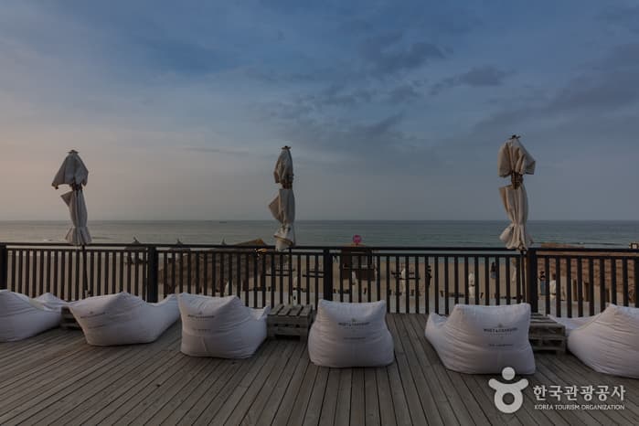 서피비치, 서핑(양양) 9