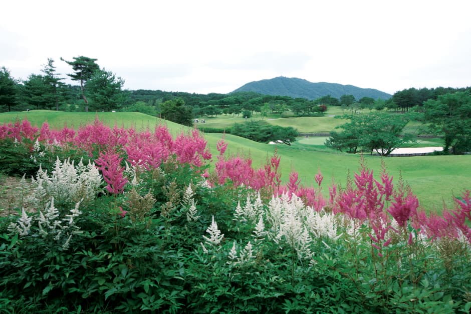 충남_천안_우정힐스CC_골프장1