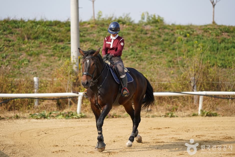 칸승마아카데미