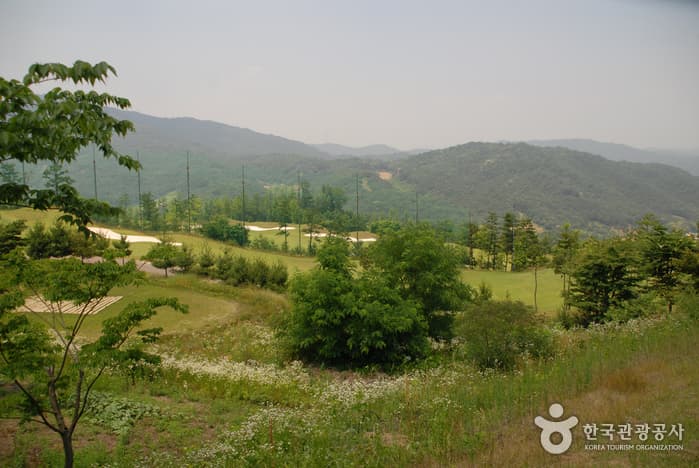 그랜드컨트리클럽