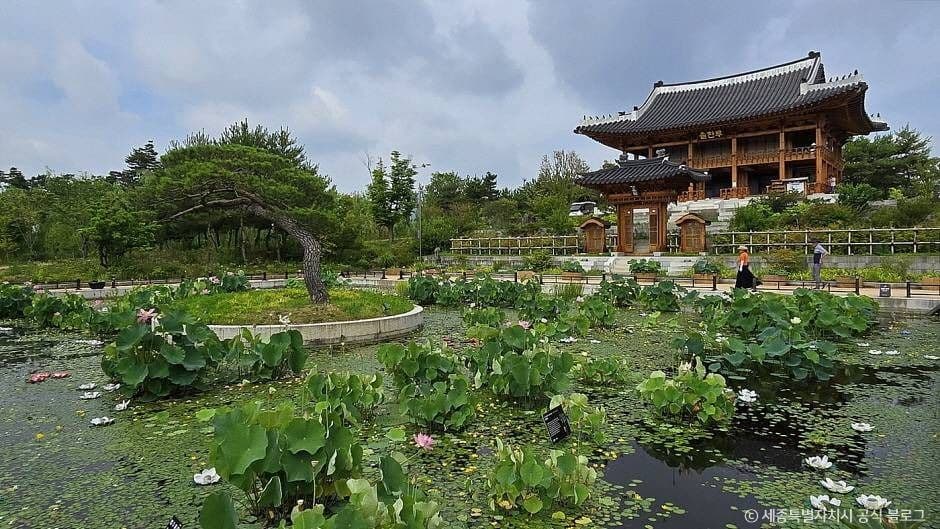 세종_국립세종수목원 (4)