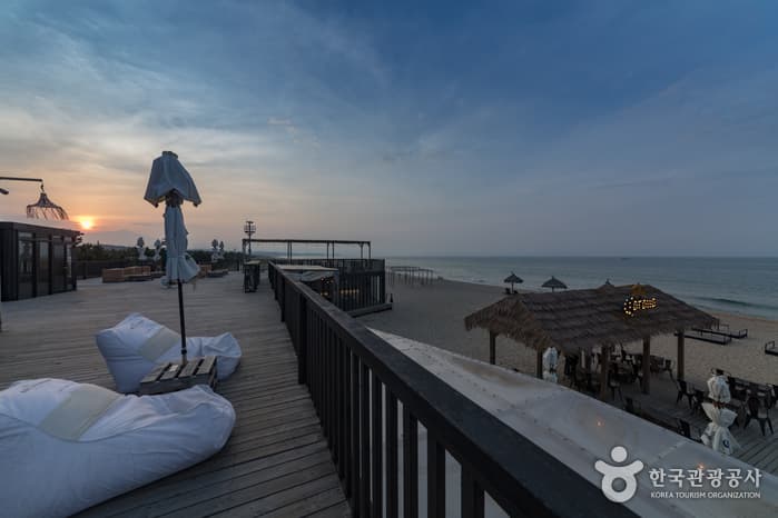 서피비치, 서핑(양양) 11