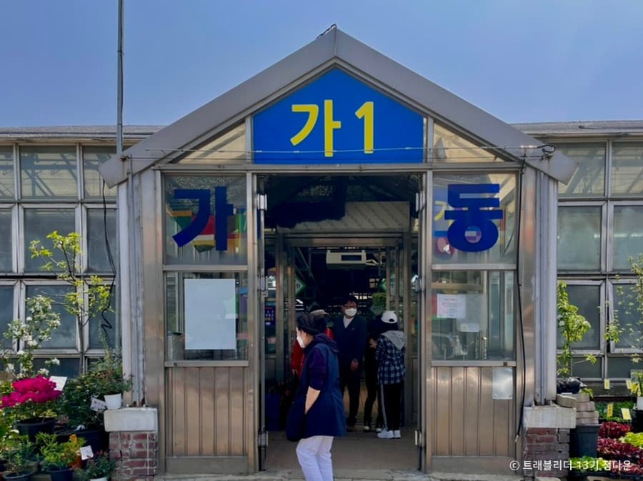 Mercado de Flores de Yangjae (양재꽃시장)