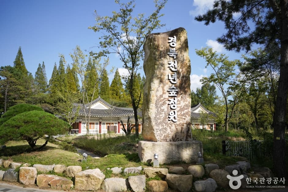 慶北千年森林庭園(경북천년숲정원)