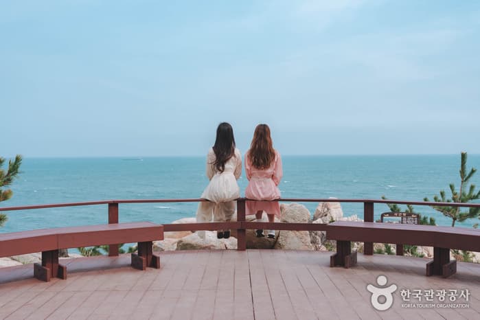 전국_냥 집사 전격 소환! 이색 고양이 여행지, 나만 없어! 야옹이! 지친 마음 위로 받는 길냥이와의 하루 17