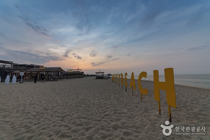 Yangyang Surfyy Beach (서피비치, 서핑(양양))