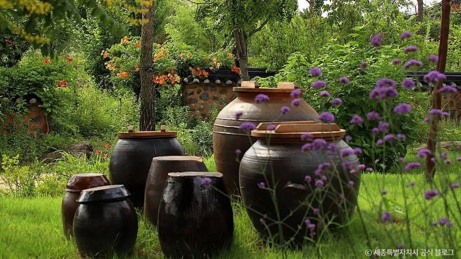 세종_국립세종수목원 (6)