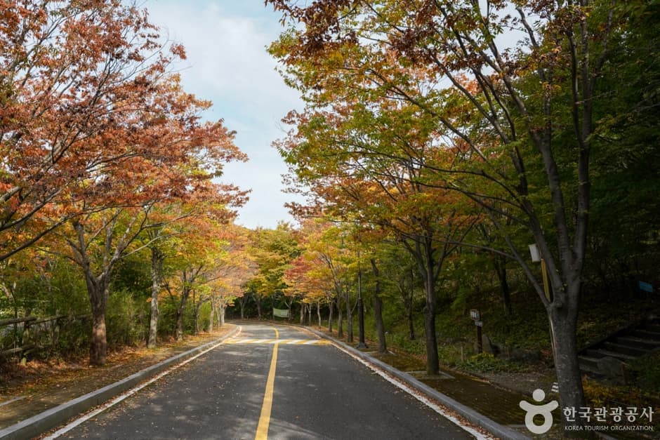 경북_포항_경상북도수목원 (9)