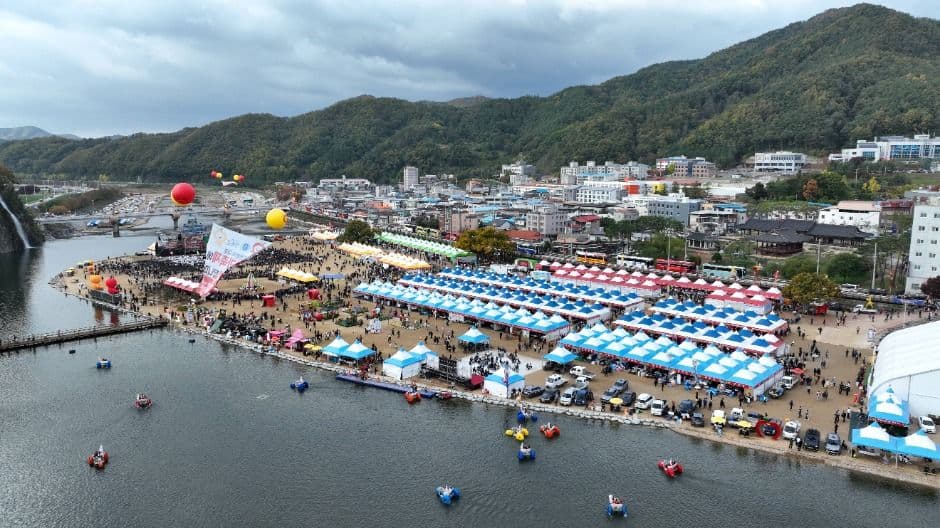 2025 청송사과축제 2