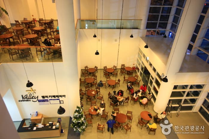 하이원리조트_11