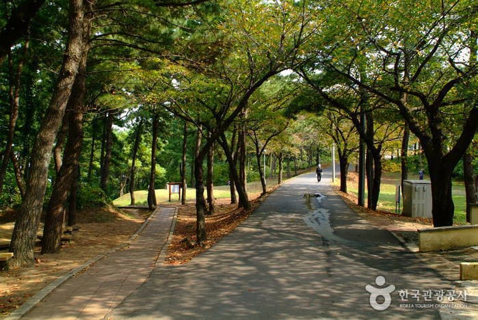 沙羅峰公園(사라봉공원)