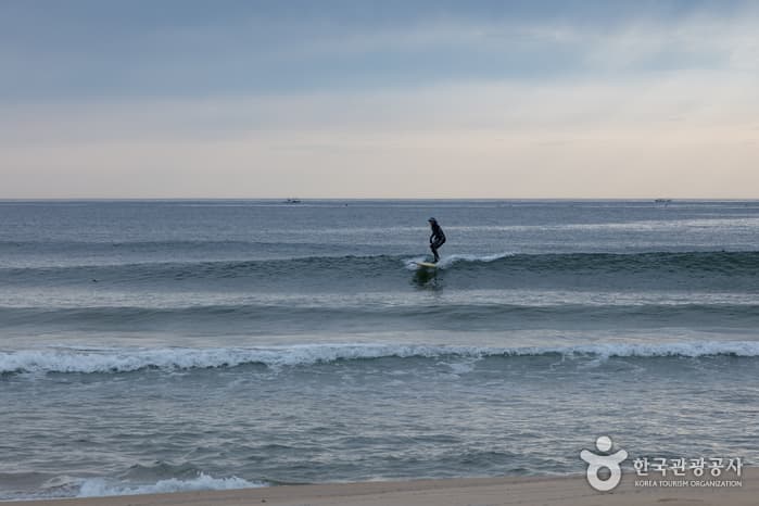 서피비치, 서핑(양양) 14