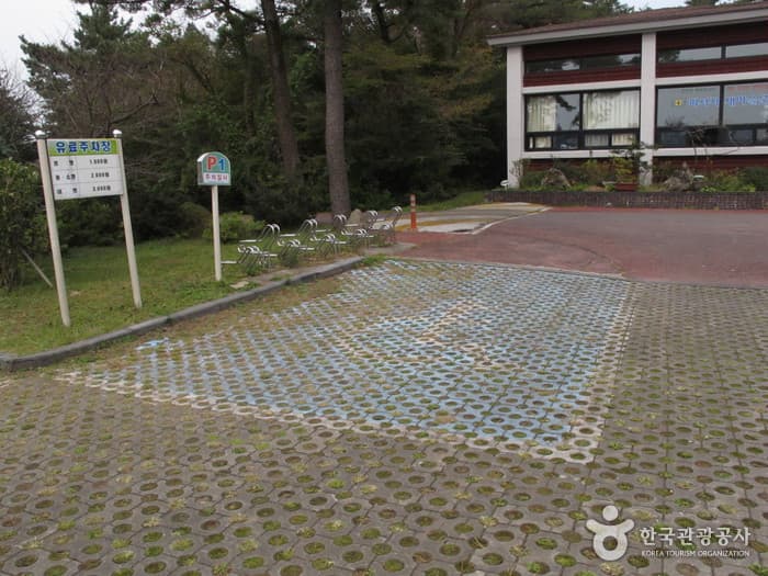 서귀포자연휴양림 (9)