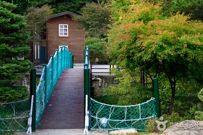 聖主峰自然休養林(성주봉자연휴양림)