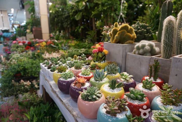 고속터미널지하상가(19)