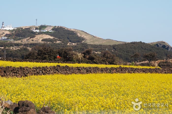 제주_우도해양도립공원01