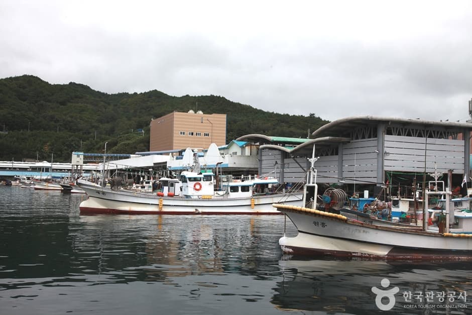 Puerto de Imwon (desde el Rompeolas del Puerto de Imwon hasta la Cueva Domigul) (임원항 (임원항방파제 ~ 도미굴))