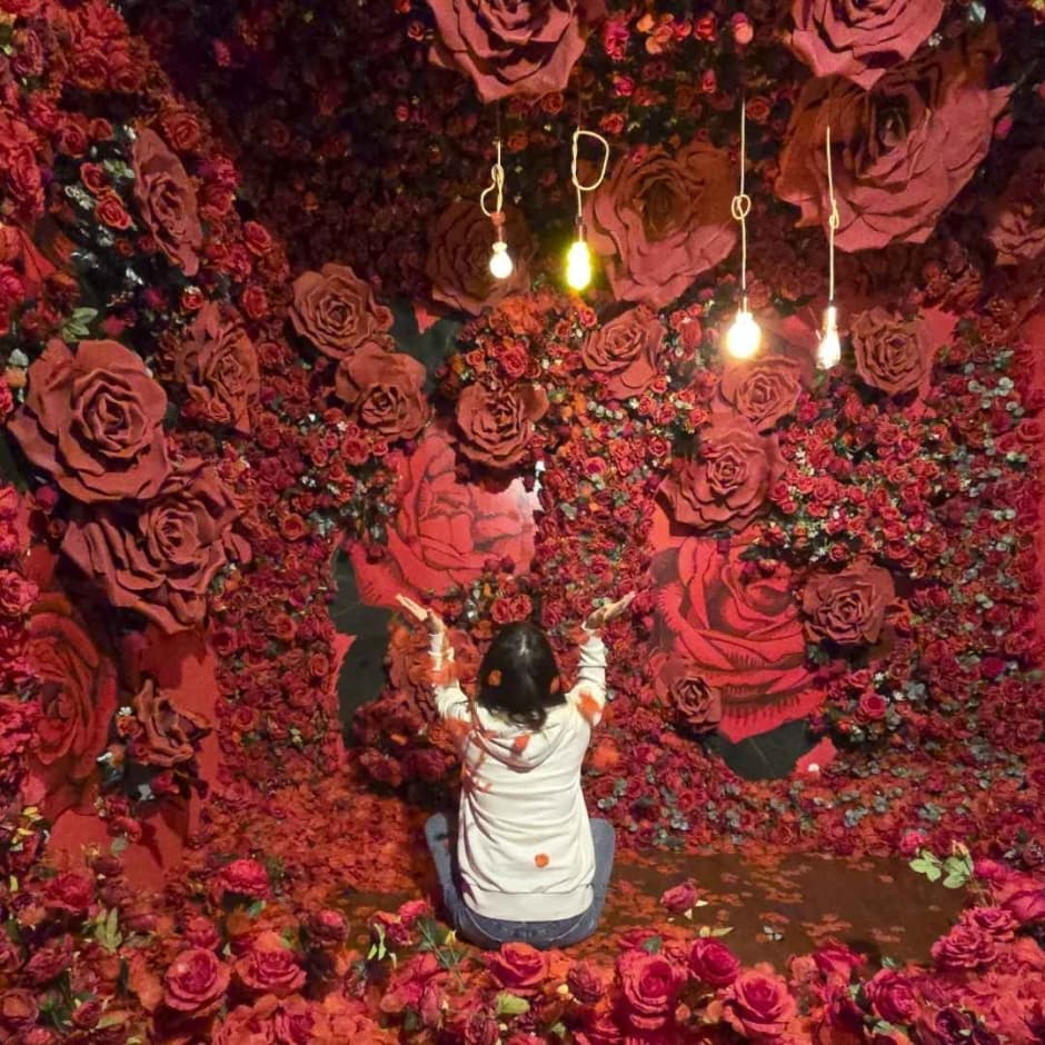 2024_제주홀릭뮤지엄 (6)