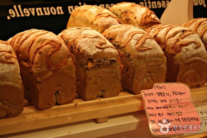 부산_빵집 투어 13 (백구당)