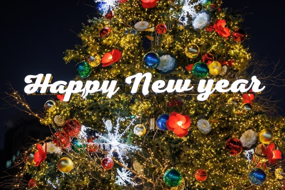 서울광장 스케이트장(3)