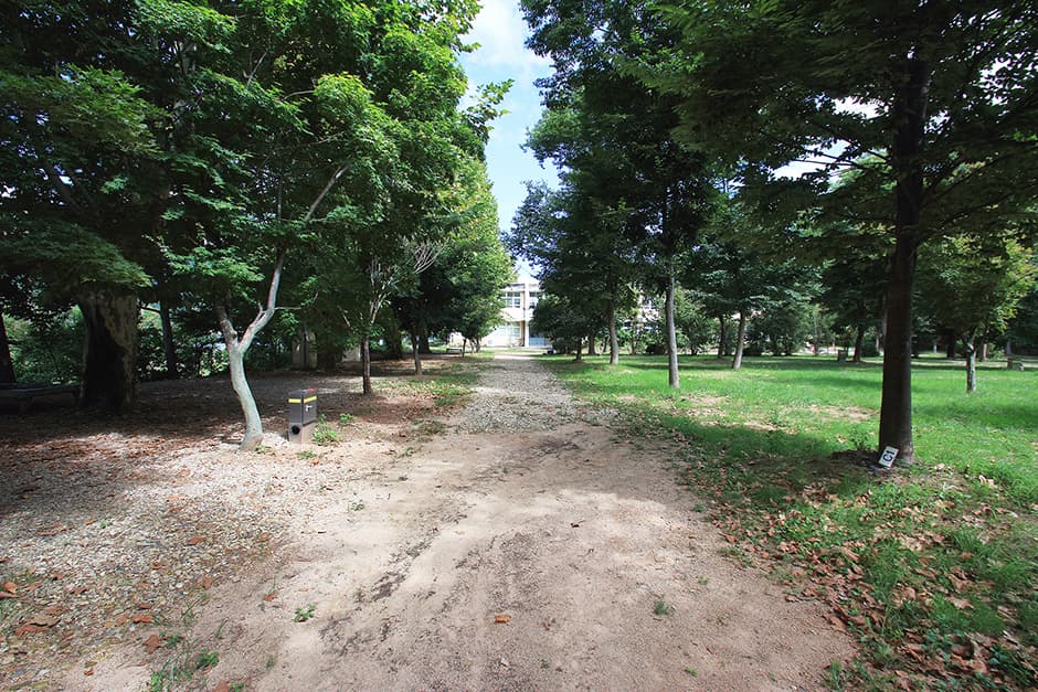 상주우산오토캠핑장_전경3